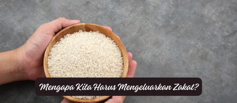 Mengapa Kita Harus Mengeluarkan Zakat